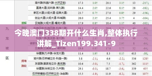 今晚澳门338期开什么生肖,整体执行讲解_Tizen199.341-9