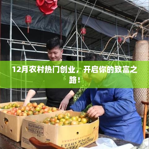 12月农村创业热潮，开启致富之路