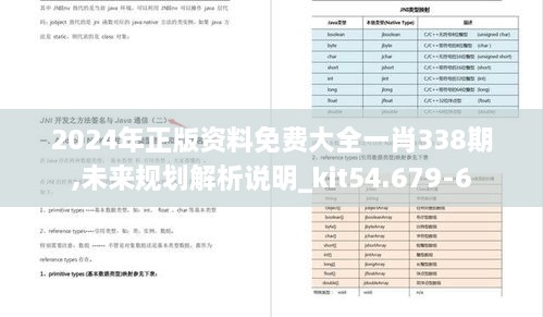 2024年正版资料免费大全一肖338期,未来规划解析说明_kit54.679-6