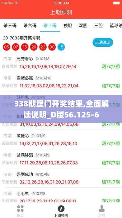 338期澳门开奖结果,全面解读说明_D版56.125-6