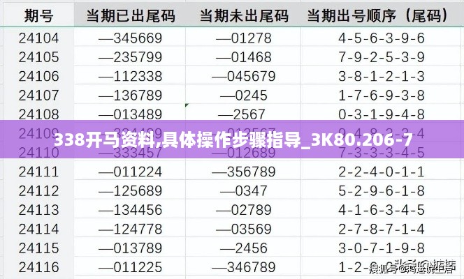 338开马资料,具体操作步骤指导_3K80.206-7