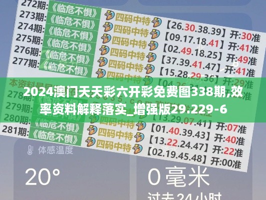 2024澳门天天彩六开彩免费图338期,效率资料解释落实_增强版29.229-6