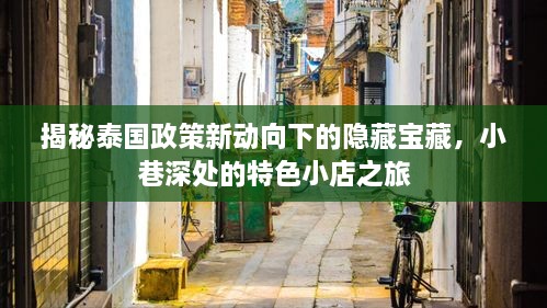 泰国政策新动向下的隐藏宝藏探寻，小巷特色小店之旅