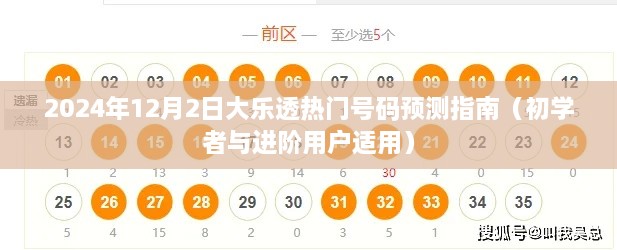 2024年大乐透热门号码预测指南，适合初学者与进阶用户参考