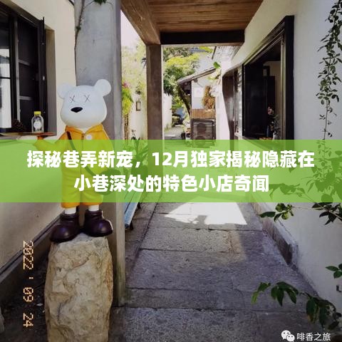 巷弄新宠揭秘，12月小巷特色小店奇闻探秘