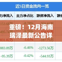 重磅！海南瑞泽12月最新公告全面解析