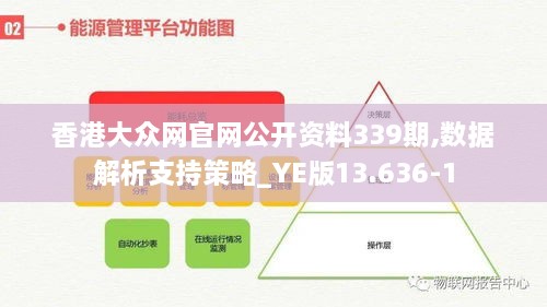 香港大众网官网公开资料339期,数据解析支持策略_YE版13.636-1