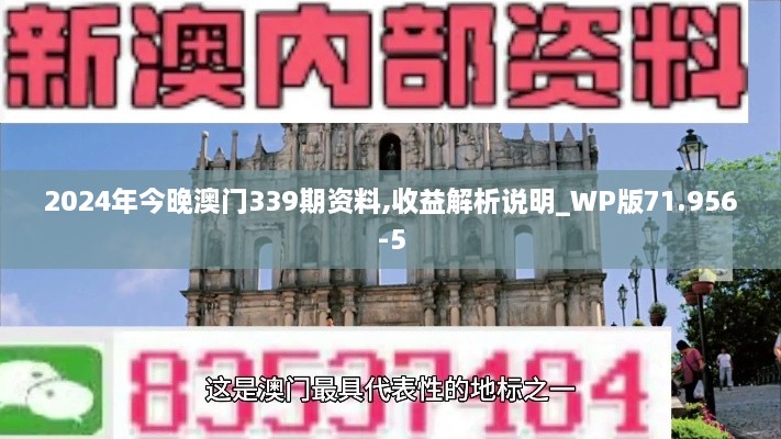 2024年今晚澳门339期资料,收益解析说明_WP版71.956-5