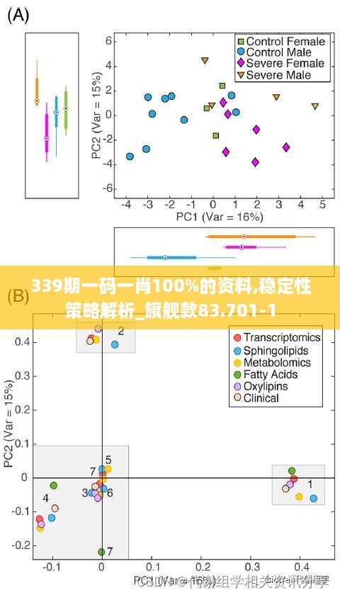 339期一码一肖100%的资料,稳定性策略解析_旗舰款83.701-1