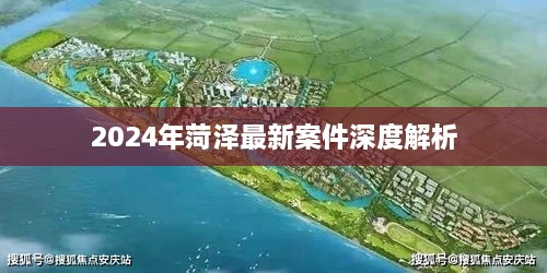 2024年菏泽最新案件深度剖析