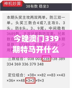 今晚澳门339期特马开什么今晚四不像,综合评估解析说明_Advance180.990-3