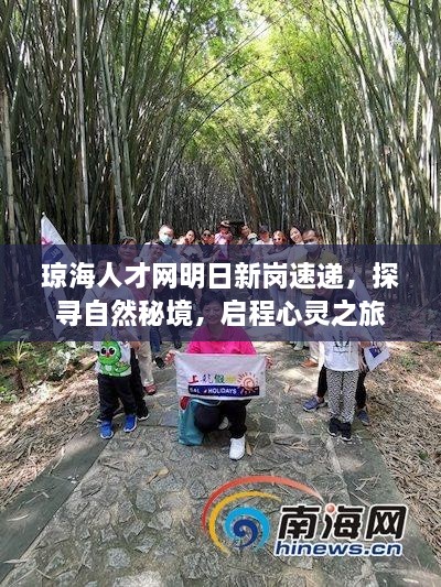 琼海人才网新岗速递，探寻自然秘境，启程心灵之旅