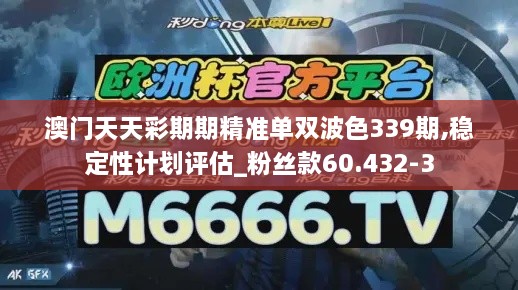 澳门天天彩期期精准单双波色339期,稳定性计划评估_粉丝款60.432-3