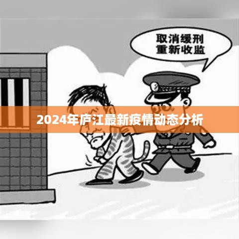 庐江县最新疫情动态分析与展望（2024年）