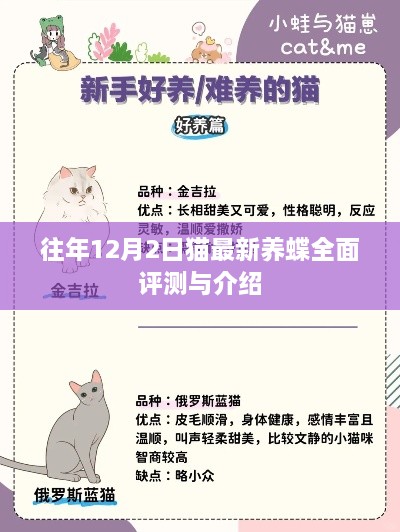 猫养蝶新风尚，全面评测与介绍