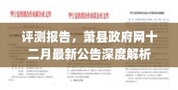 萧县政府网十二月最新公告深度解析与评测报告