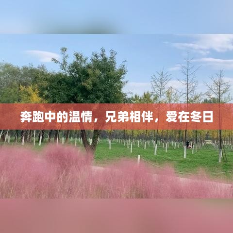 冬日温情奔跑，兄弟相伴的爱之篇章