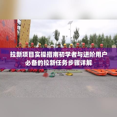 拉新项目实操指南，初学者与进阶用户拉新任务步骤详解攻略