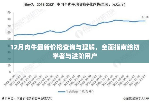 12月肉牛价格全面解析，初学者与进阶用户的指南