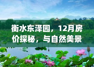 衡水东泽园12月房价探秘，与自然美景共舞的心灵港湾