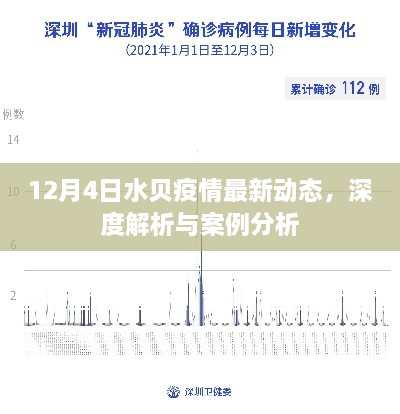 12月4日水贝疫情最新动态深度解析与案例分析报告