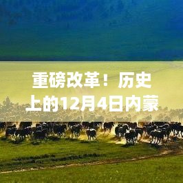 重磅揭秘，智能高考助手重塑未来教育体验——历史上的高考科技革新回顾与揭秘