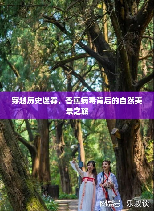 穿越历史迷雾，探寻香蕉病毒背后的自然美景之旅