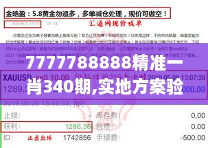 7777788888精准一肖340期,实地方案验证_6DM36.733-7