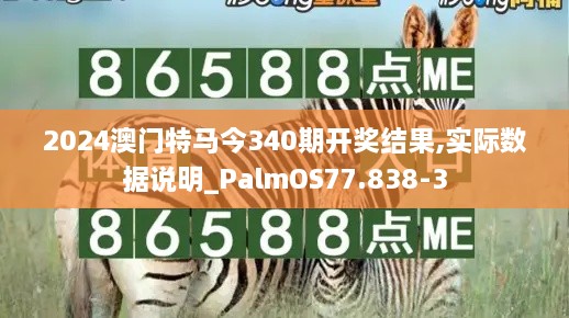 2024澳门特马今340期开奖结果,实际数据说明_PalmOS77.838-3