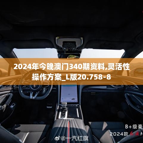 2024年今晚澳门340期资料,灵活性操作方案_L版20.758-8