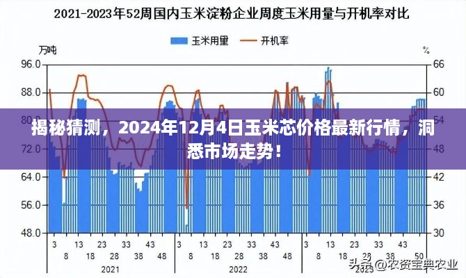 揭秘，玉米芯价格最新行情及市场走势预测（2024年12月4日）