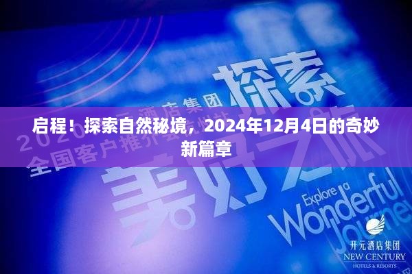 启程！开启自然秘境探索之旅，奇妙新篇章——2024年12月4日纪实