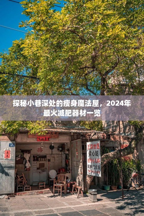 探秘小巷深处的瘦身魔法屋，揭秘2024年最火爆减肥器材独家一览