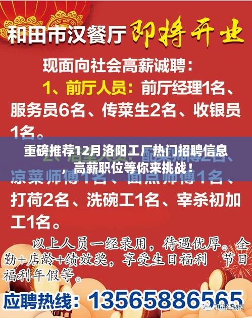 重磅推荐！洛阳工厂热门高薪职位招聘信息，等你来挑战！