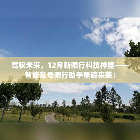 智能车号限行助手重磅来袭，驾驭未来，新限行科技神器助力车主应对十二月限行政策！