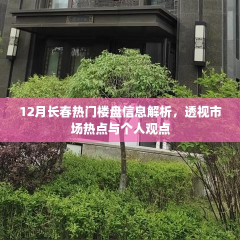 12月长春热门楼盘深度解析，市场热点透视与专家个人观点