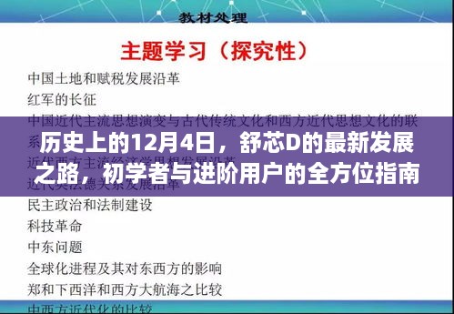 舒芯D最新发展之路，全方位指南——初学者与进阶用户的里程碑纪念日回顾