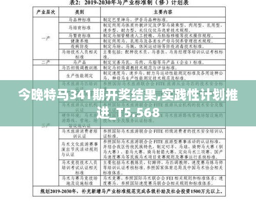 今晚特马341期开奖结果,实践性计划推进_T5.568