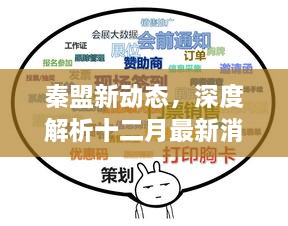 秦盟最新动态解析，十二月消息深度报告