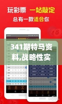 341期特马资料,战略性实施方案优化_WP版4.400