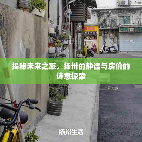 揭秘未来之旅，扬卅的诗意探索与静谧房价展望