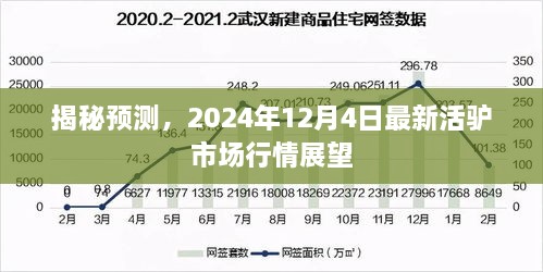 2024年12月4日活驴市场行情展望与最新预测揭秘