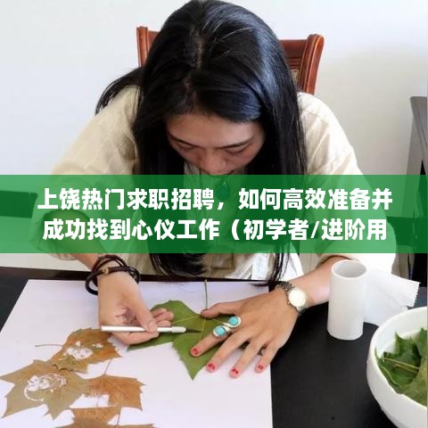 上饶求职招聘攻略，高效准备与成功找到心仪工作的初学者与进阶用户指南