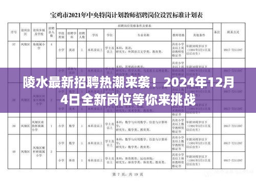 陵水招聘热潮来袭！全新岗位等你来挑战（2024年12月4日）