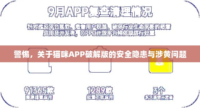 警惕，猫咪APP破解版的安全风险与涉黄问题解析