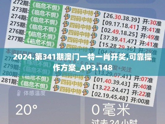 2024.第341期澳门一特一肖开奖,可靠操作方案_AP3.148