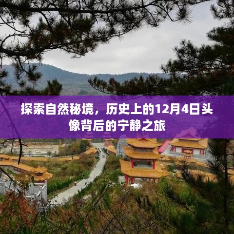 自然秘境探索，探寻宁静之旅背后的历史与神秘——纪念12月4日头像之旅