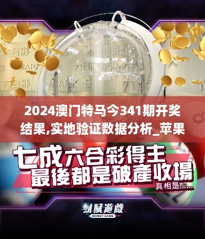 2024澳门特马今341期开奖结果,实地验证数据分析_苹果版9.534