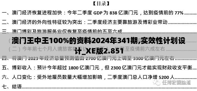 澳门王中王100%的资料2024年341期,实效性计划设计_XE版2.851