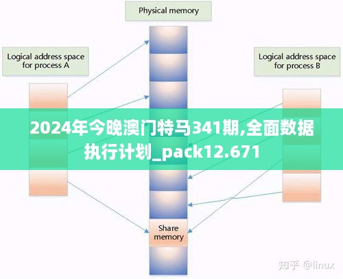 2024年今晚澳门特马341期,全面数据执行计划_pack12.671